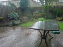 De tuin
